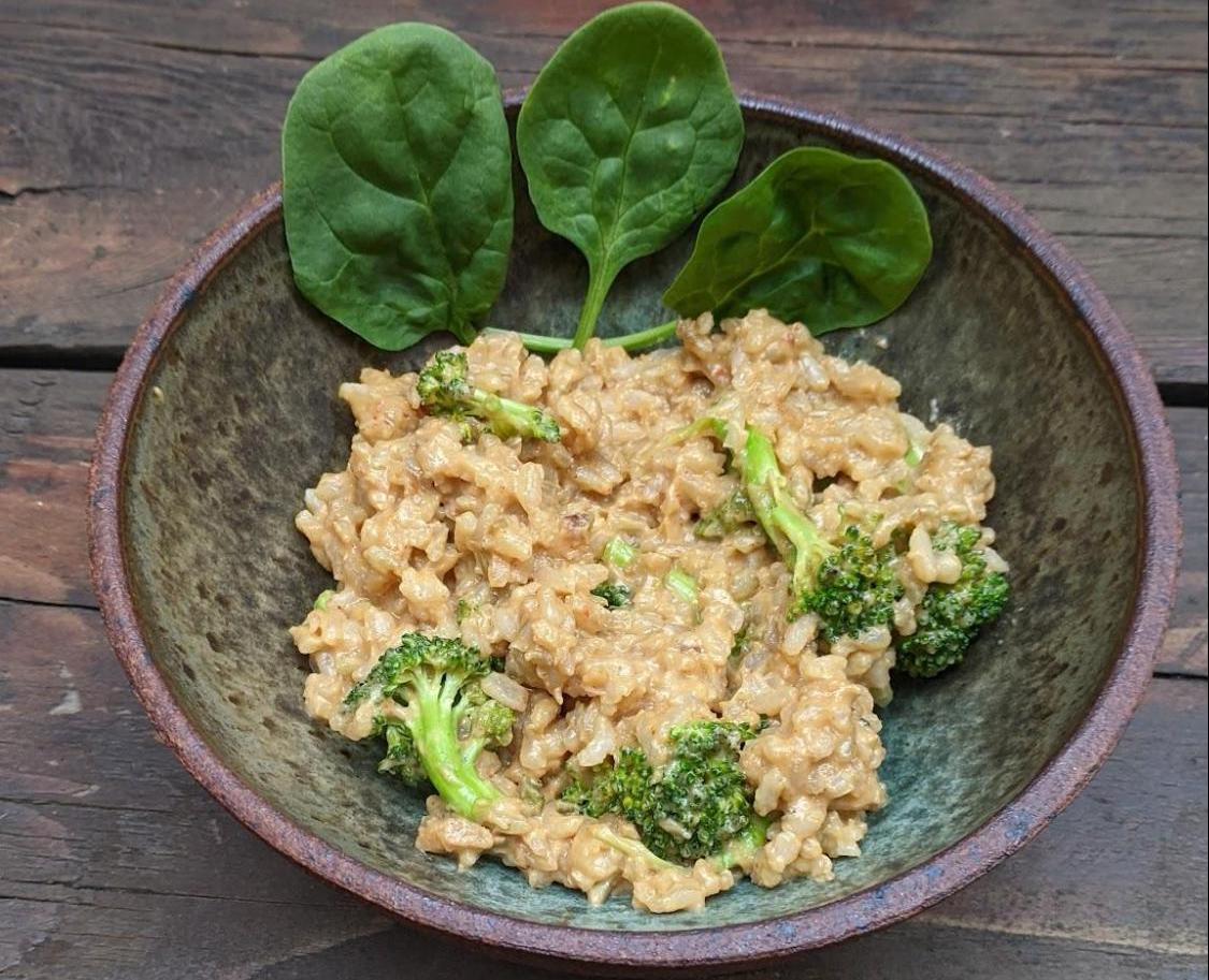 Tempeh Rice Recipe JustOne Organics®