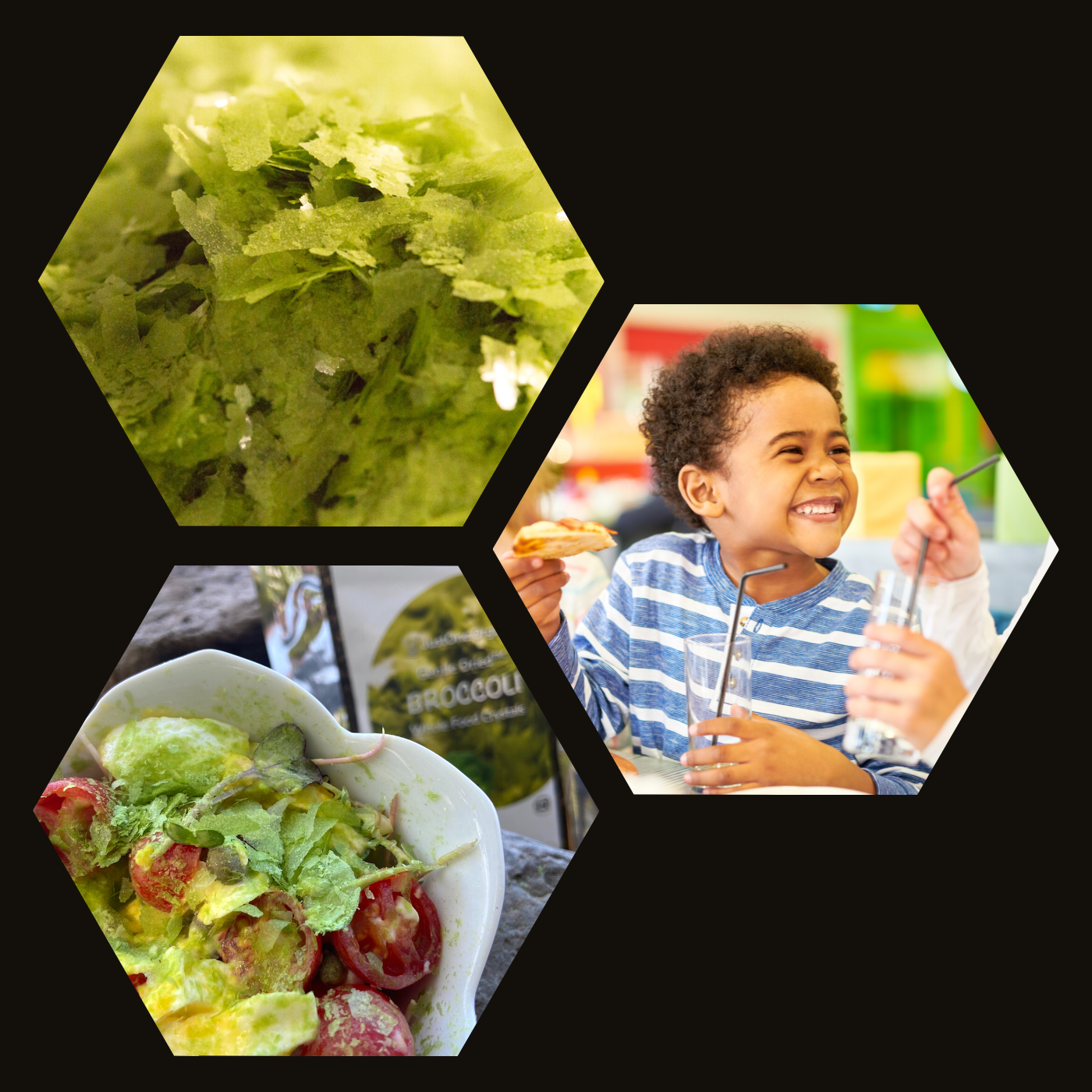 Organic Broccoli Gentle Dried™ into Essential Crystalline Form ...